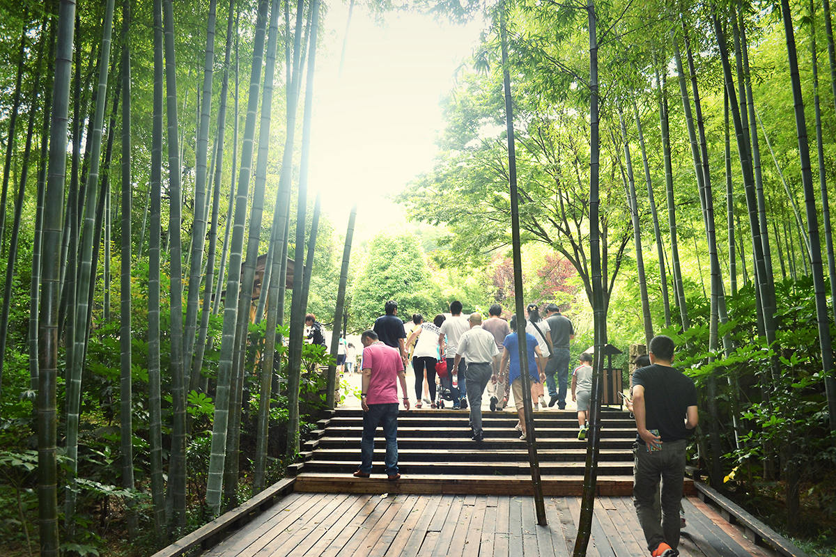 1637041995111521.jpg 4.jpg